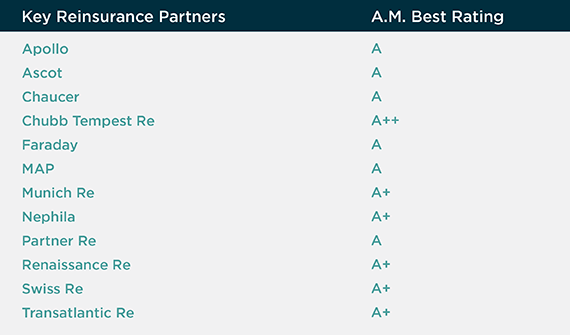 Reinsurance Partners table