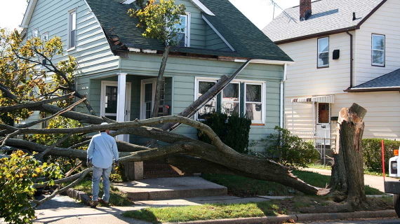 disaster-tree-on-house570x320