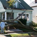 disaster-tree-on-house@2x-150x150